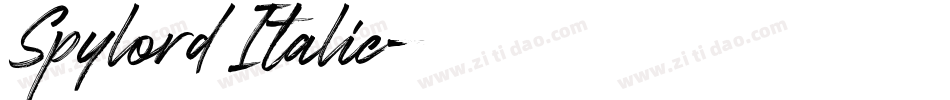 Spylord Italic字体转换
